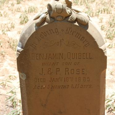 ROSE Benjamin Quibell -1885