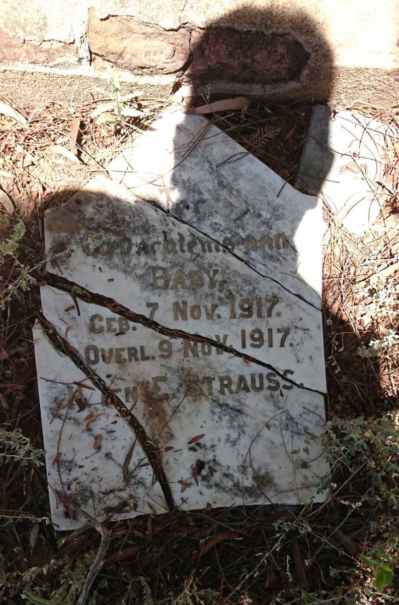 STRAUSS Baby 1917-1917