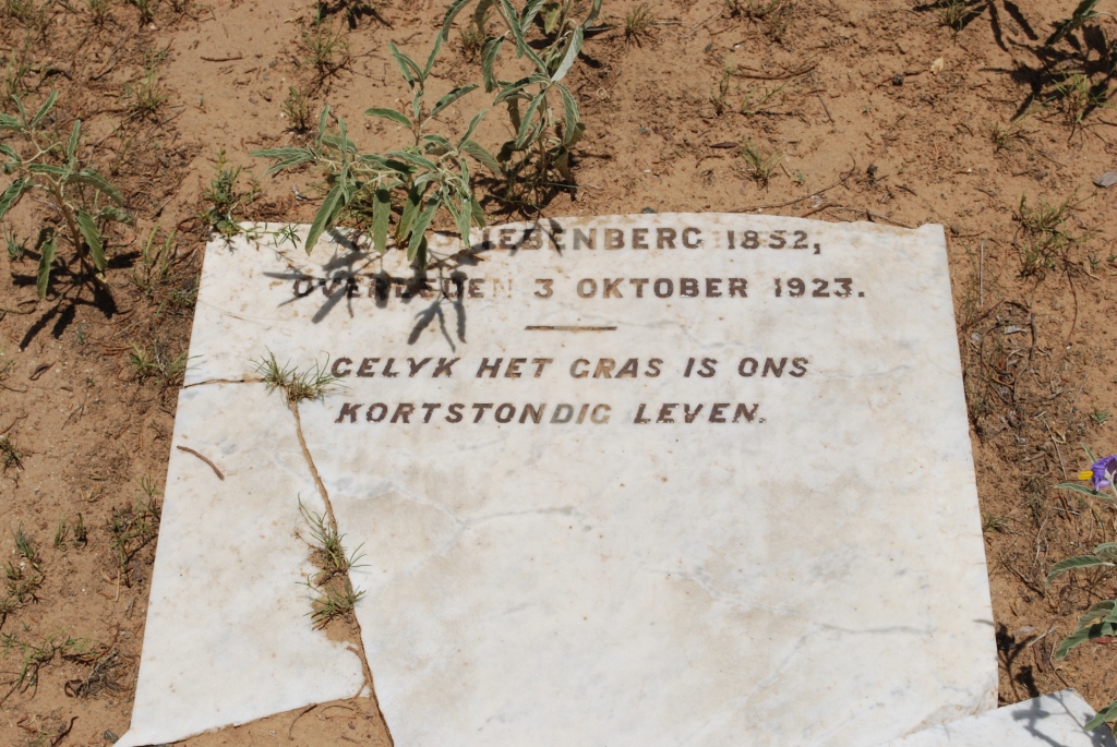 STRAUSS Martha Magrieta Eliesabet Johanna nee LIEBENBERG 1852-1923