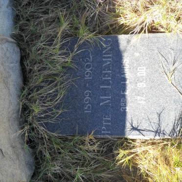 LEEMING M. 1899-1902