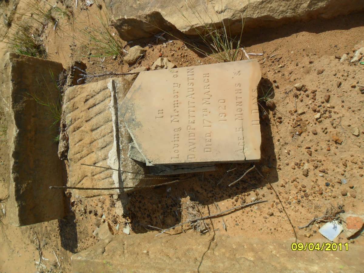 AUSTIN David Pettit -1920