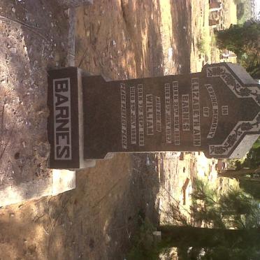 BARNES Elizabeth Ann 1866-1927 :: BARNES William 1888-1906