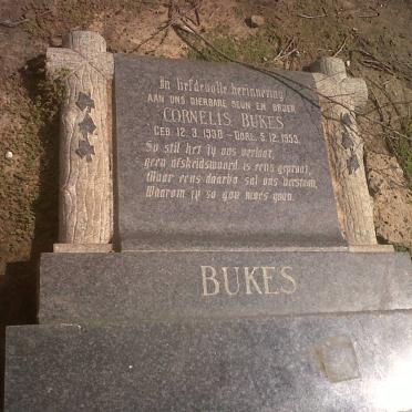 BUKES Cornelis 1930-1953