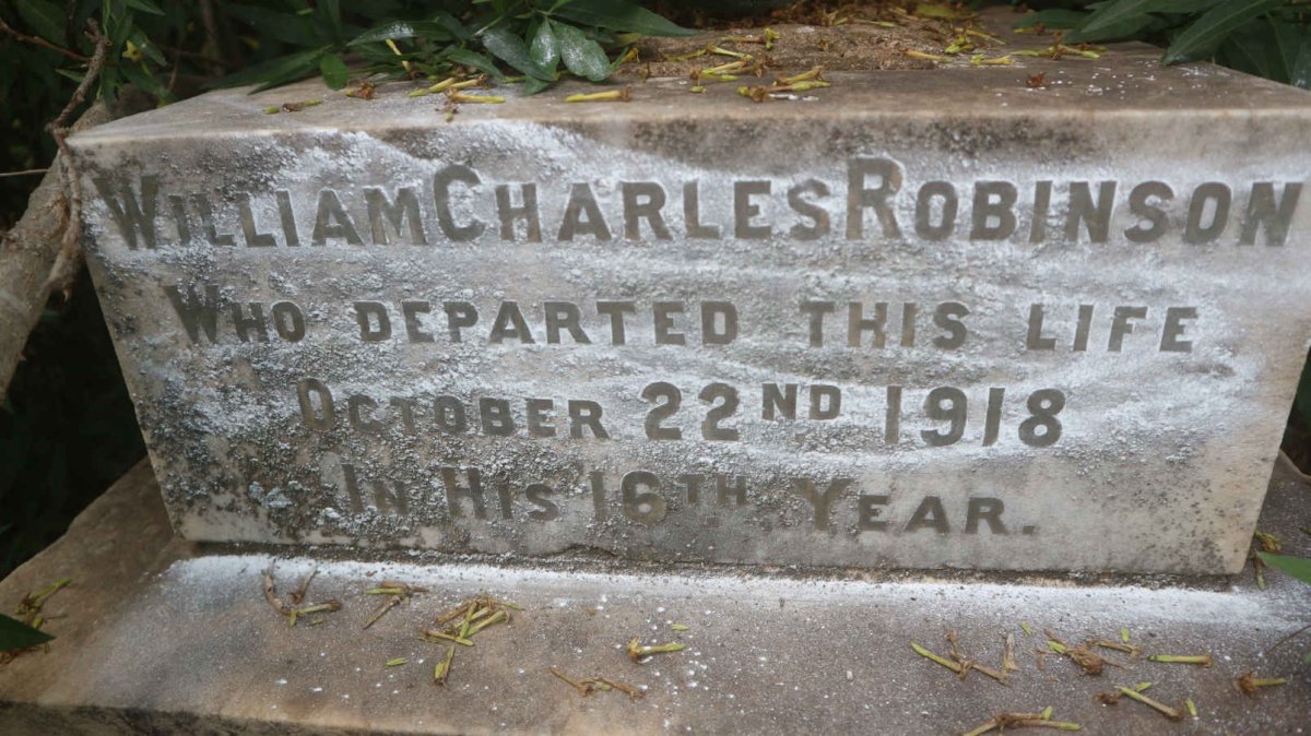 ROBINSON William Charles -1918