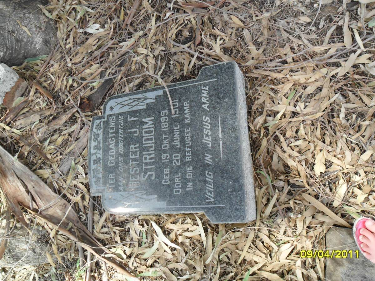 STRIJDOM Hester J.F. 1899-1901