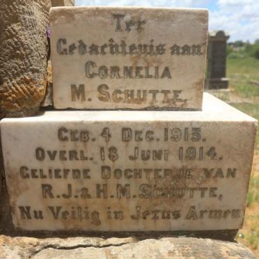 SCHUTTE Cornelia M. 1913-1914