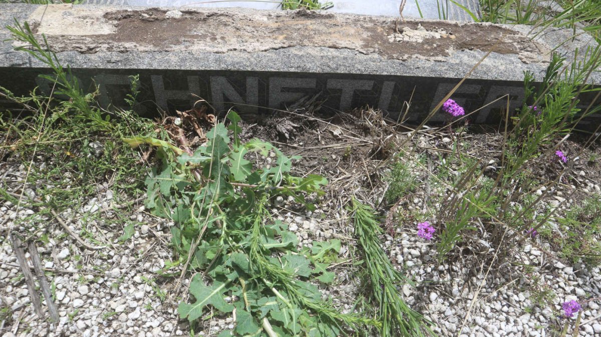 SCHNETLER Cornelius Theodorus 1865-1943 &amp; Emmerencia Frederica Jacoba DU PLESSIS 1873-1926