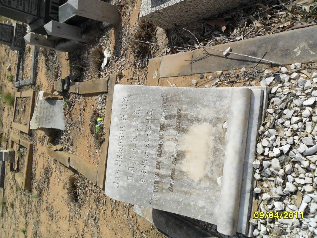 WIUM Jan Hendrik 1881-1913