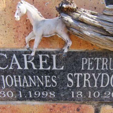 STRYDOM Carel Petrus Johannes 1998-2011