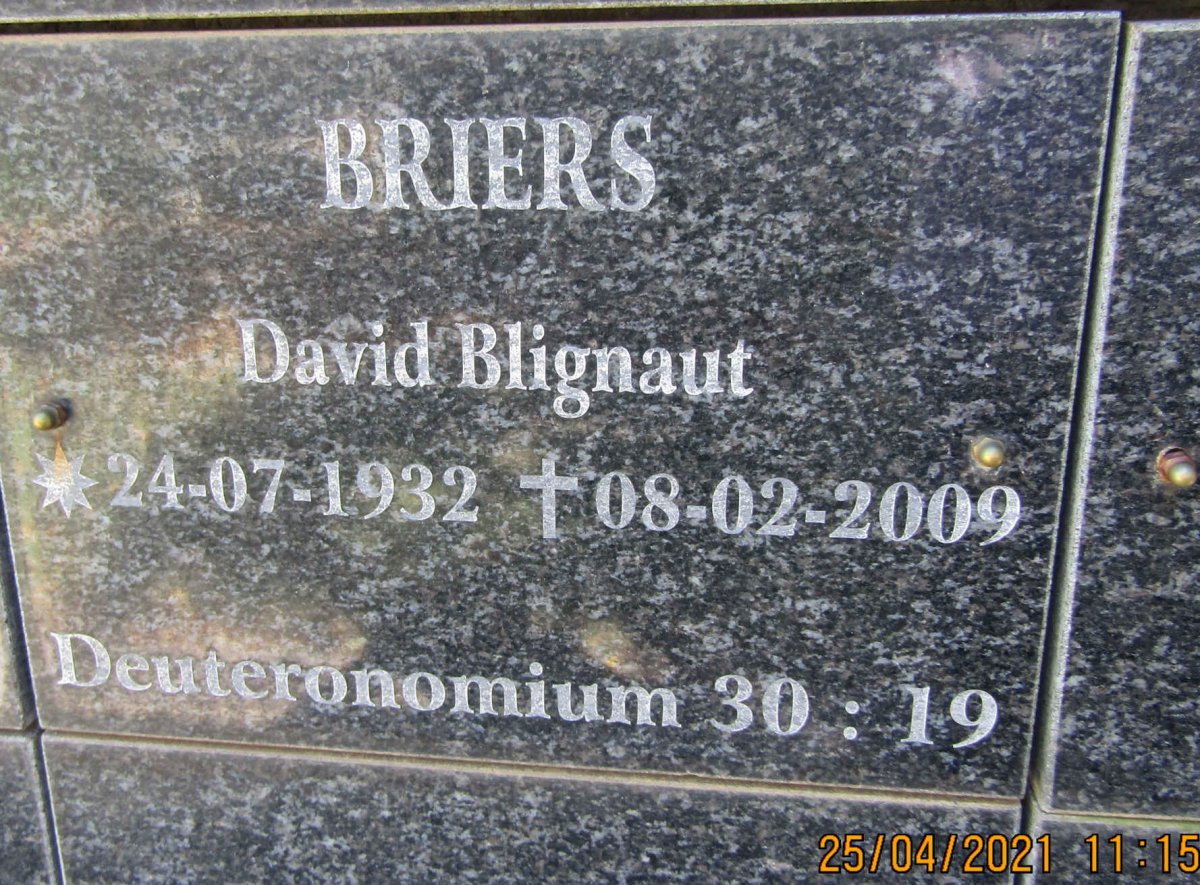 BRIERS David Blignaut 1932-2009