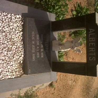 ALBERTS Flippie 1978-1979