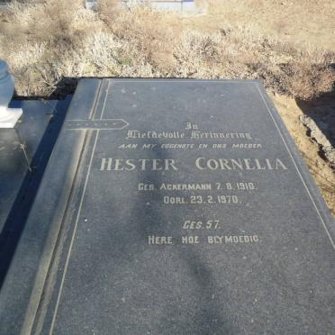 BOTHA Hendrik Lourens 1910-1978 &amp; Hester Cornelia ACKERMANN 1910-1970 