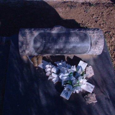 ERASMUS E.J.P. 1936-1977