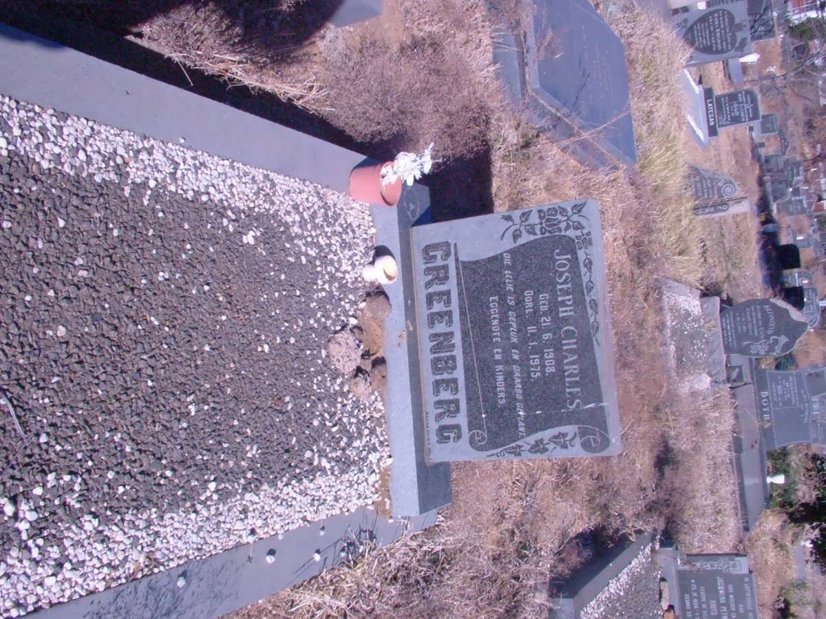 GREENBERG Joseph Charles 1908-1975