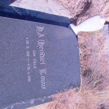 LOUW H.A. nee CILLIE 1918-1981