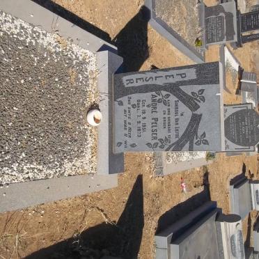 PELSER André 1951-1973