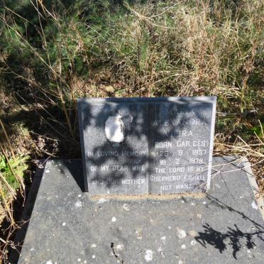 VIEIRA Maria Alexandra nee CAR CES 1887-1978