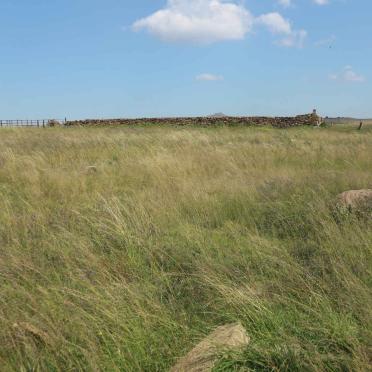 1. Overview of the area