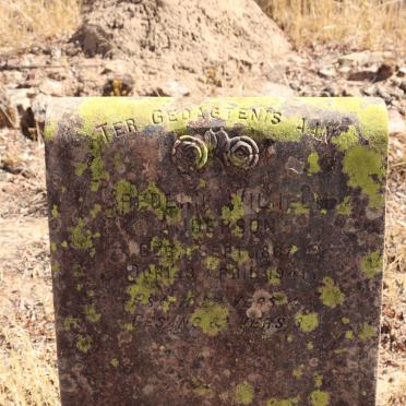 ANDERSON Frederik Wilhelm 1867-1941