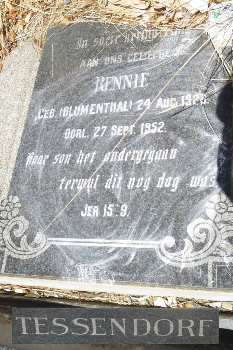 TESSENDORF Rennie nee BLUMENTHAL 1926-1952