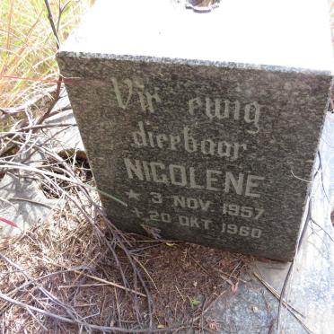 ? Nicolene 1957-1960