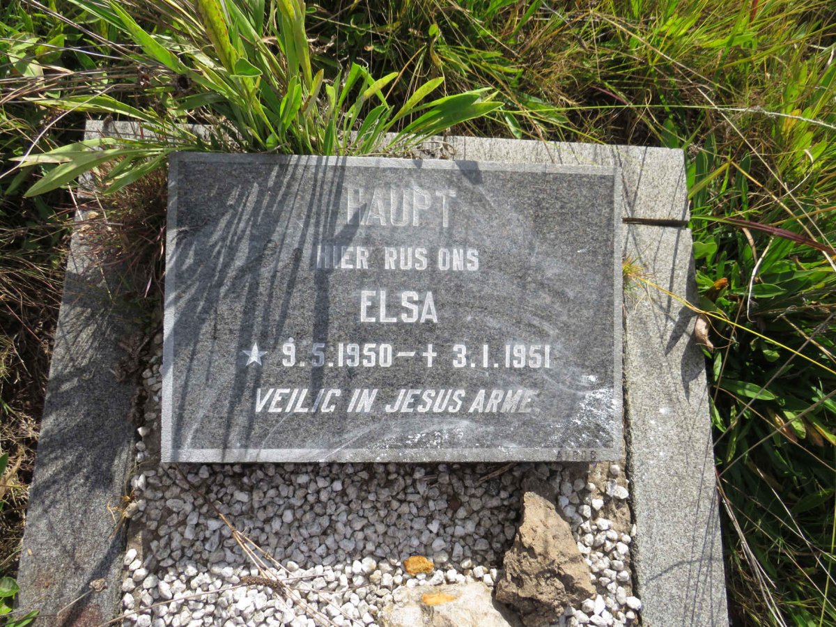 HAUPT Elsa 1950-1951