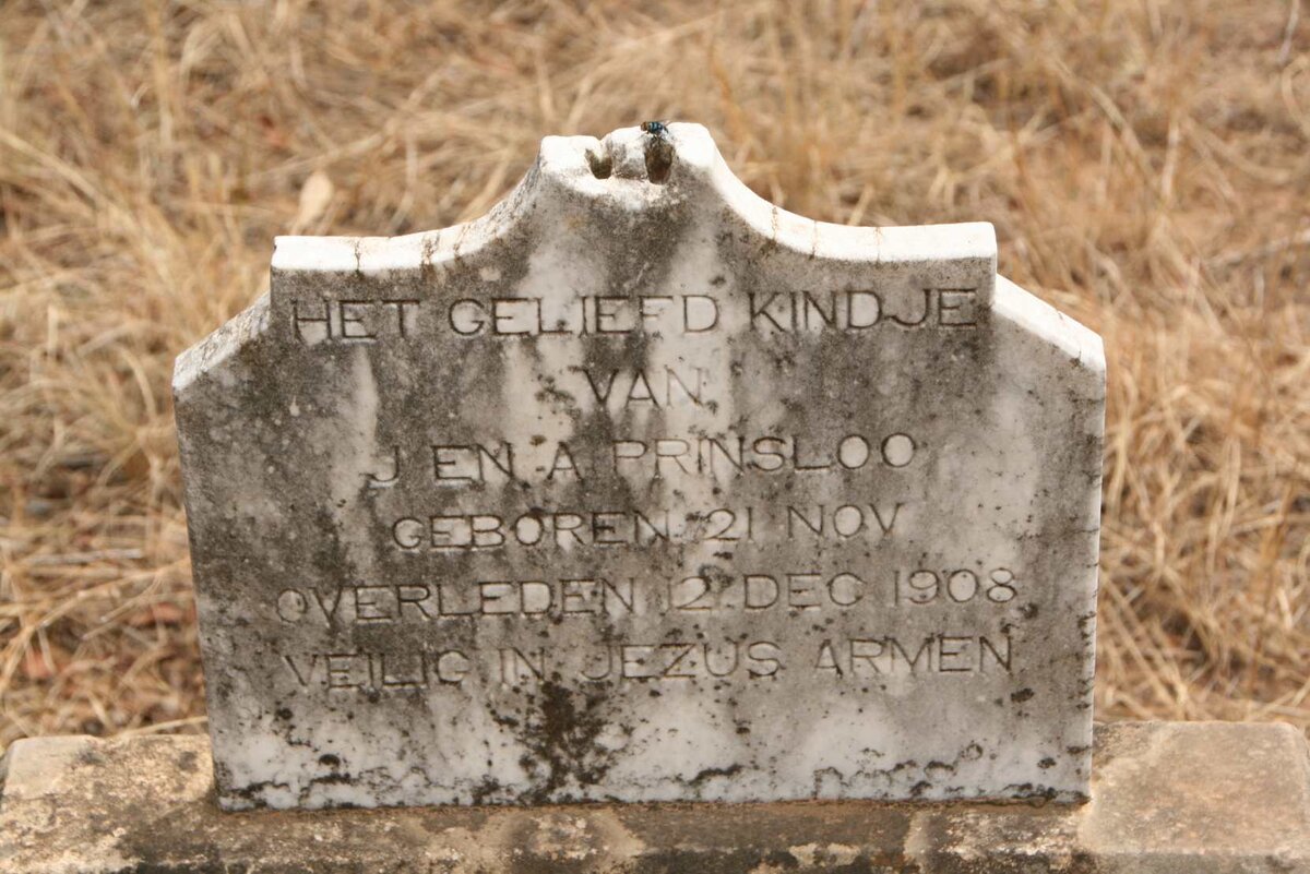 PRINSLOO ? 1908-1908