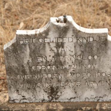 PRINSLOO ? 1908-1908