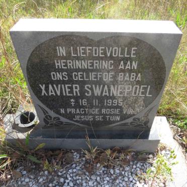 SWANEPOEL Xavier 1995-1995