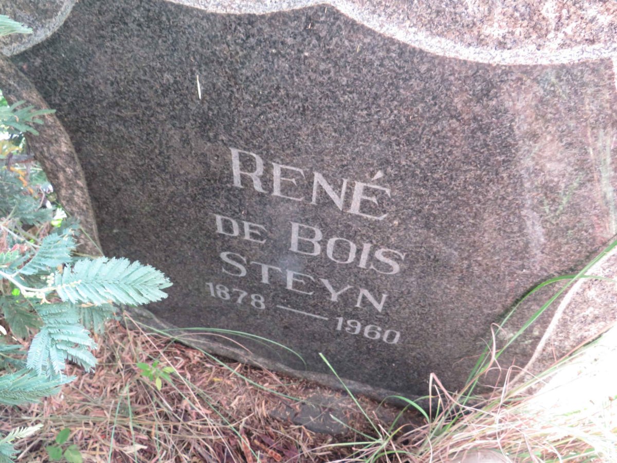 STEYN Rene, DE BOIS 1878-1960