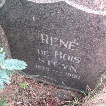STEYN Rene, DE BOIS 1878-1960