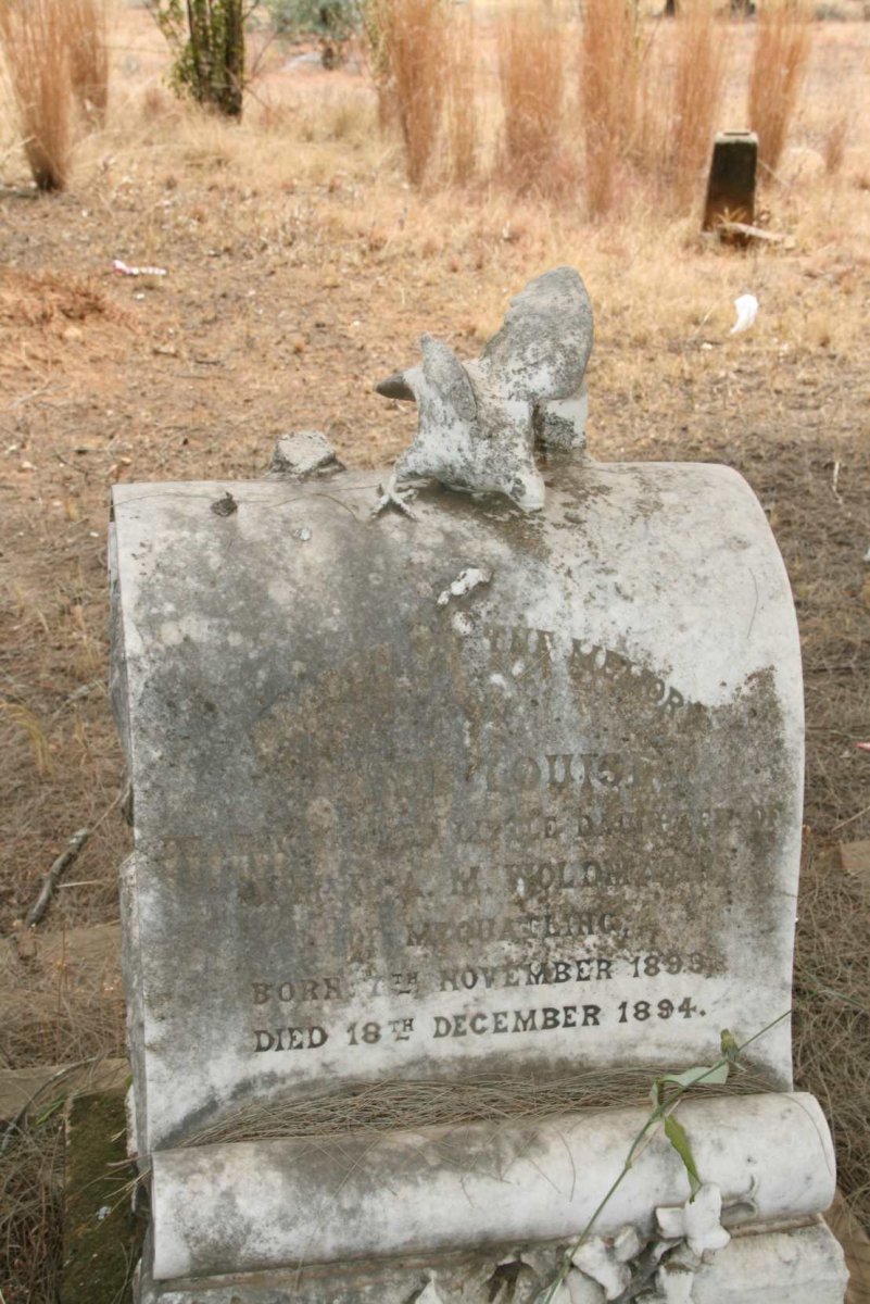 WOLDMANN ? Louise 1893-1894