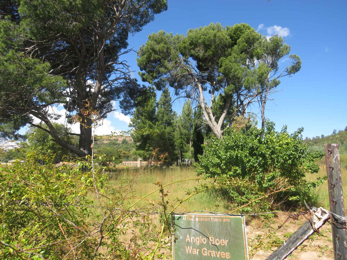 3. Overview / Oorsig