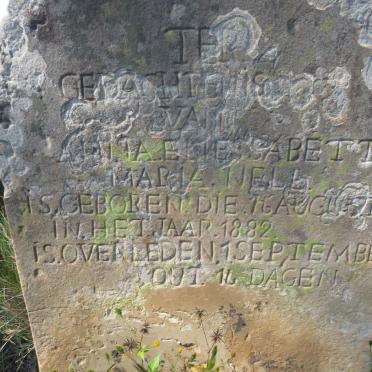 NELL Anita Eliessabetta Maria 1882-1882