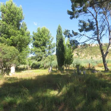 4. Overview / Oorsig