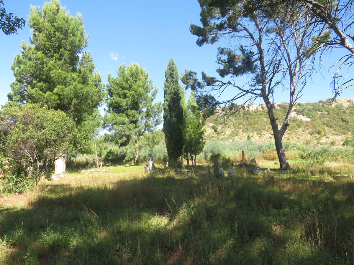 4. Overview / Oorsig