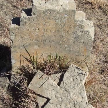 WILLMOTT James -1900 _2