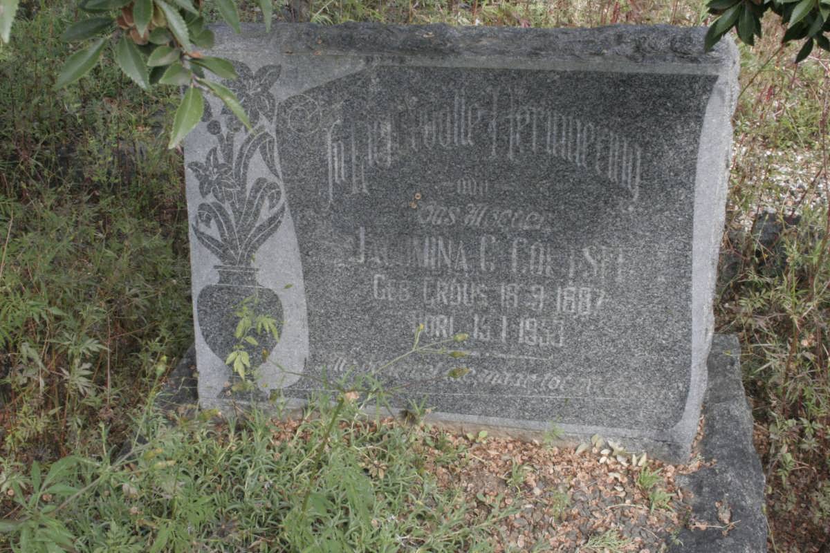COETSEE Jacomina Christina nee CROUS 1887-1953