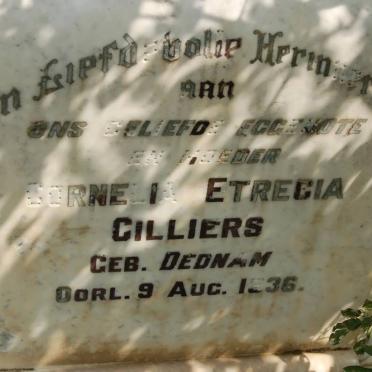CILLIERS Cornelia Etrecia nee DEDNAM -1936