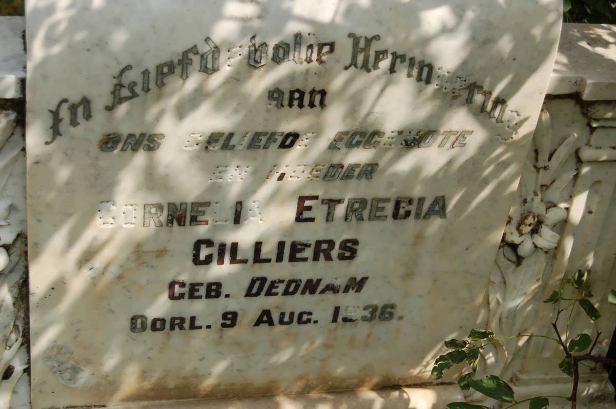 CILLIERS Cornelia Etrecia nee DEDNAM -1936
