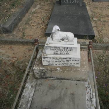 ERWEE Petrus Paulus Johannes 1945-1954