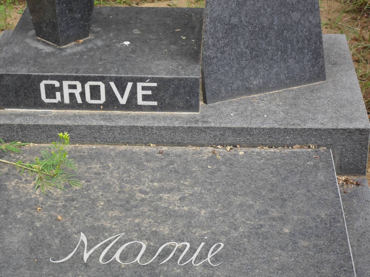 GROVé Manie