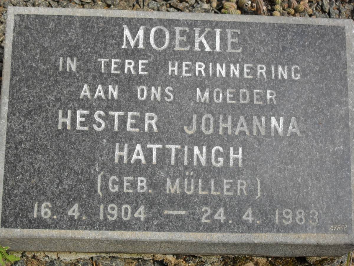 HATTINGH Hester Johanna nee MüLLER 1904-1983