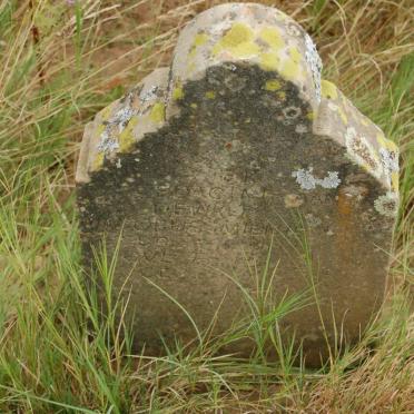 MIENIE Dewald Jacobus