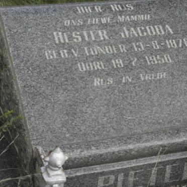 PIETERS Hester Jacoba nee V. TONDER 1878-1950