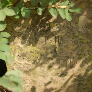 WESSELS Catharia M.J. nee TALLIARD 1895-1936