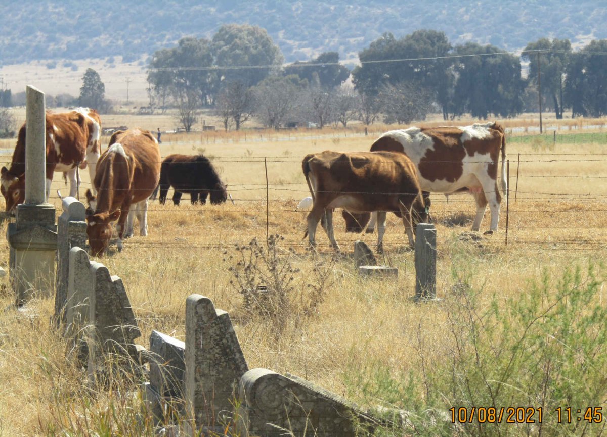 2. Oorsig / Overview