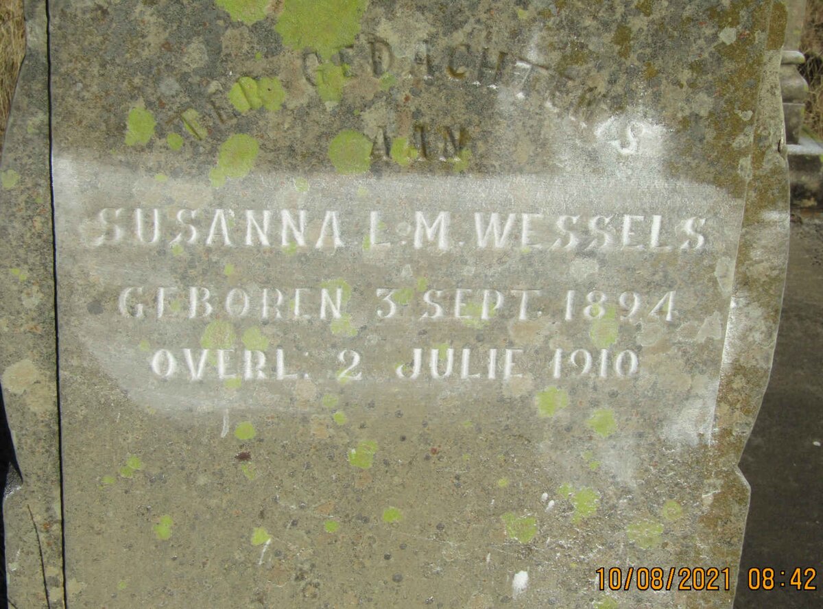 WESSELS Susanna L. M. 1894-1910