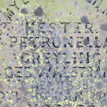 GREYLING Hester Petronella nee WALSTRAND 1935-1914 :: COETZEE Alletta Johanna nee PRINSLOO