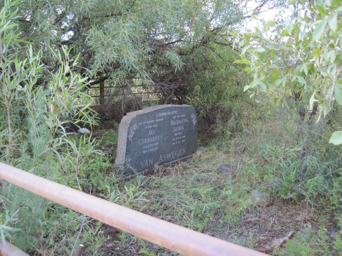4. Overview inside the cemetery